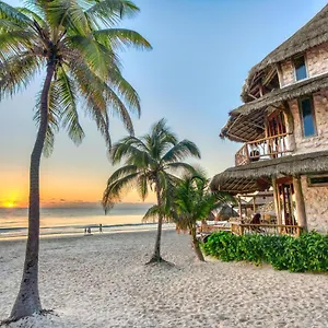 Alaya By Ahau Collection Tulum