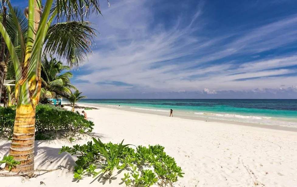 Jungle Villa Tulum Beach